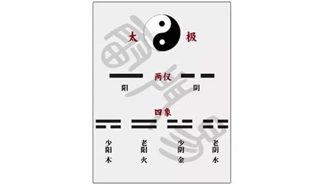 陽氣重面相|命理基礎知識梳理04：陰陽五行解讀，全陰克父？全陽克母？